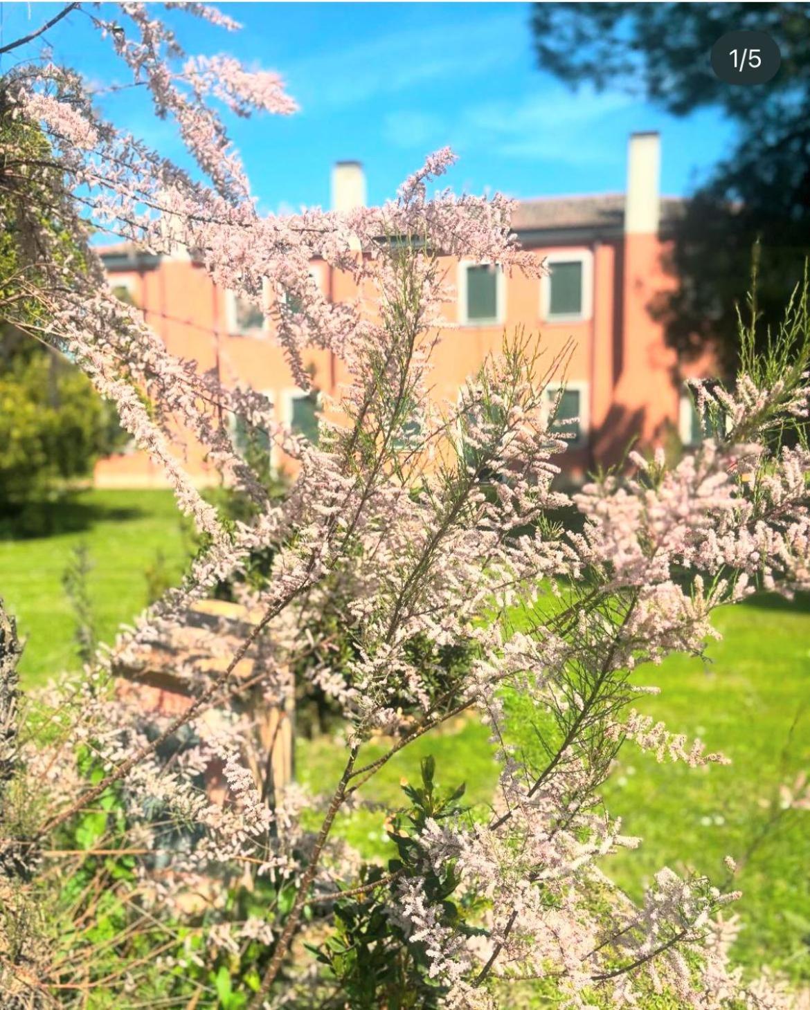 Agriturismo Ca' Bonelli 1924 Scardovari Exterior foto